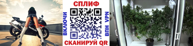 Где купить наркоту Орск APVP  ГАШИШ  Канабис 