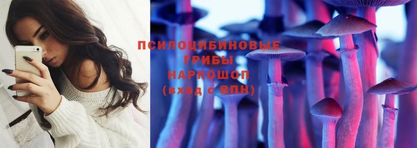 винт Абаза