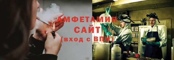 винт Абаза