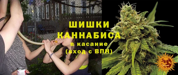 винт Абаза