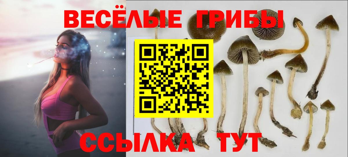 Орск  Галлюциногенные грибы прущие грибы  Вход с VPN 
