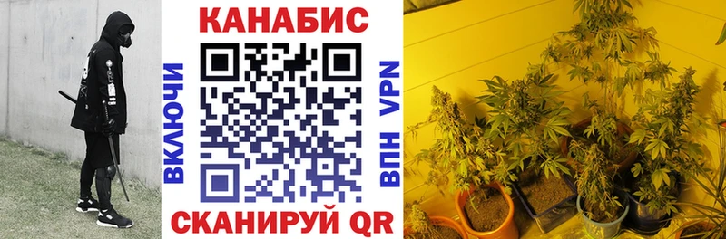 Бошки Шишки OG Kush  Орск 